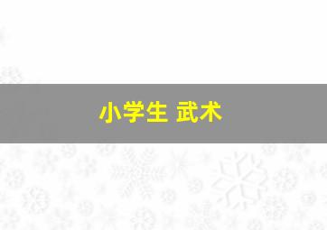 小学生 武术